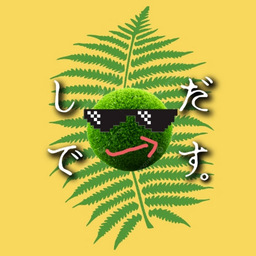 シダ