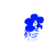 う