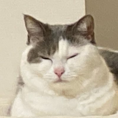 ごま